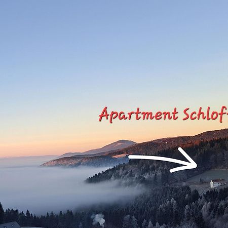 Apartment Schloffer Weiz Bagian luar foto