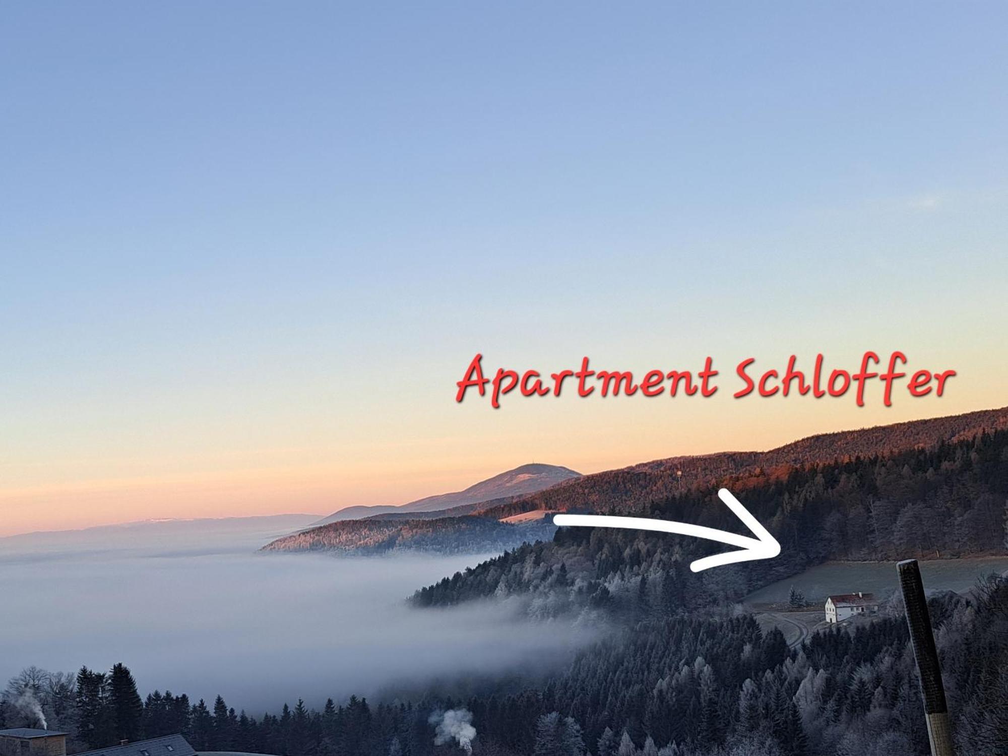 Apartment Schloffer Weiz Bagian luar foto